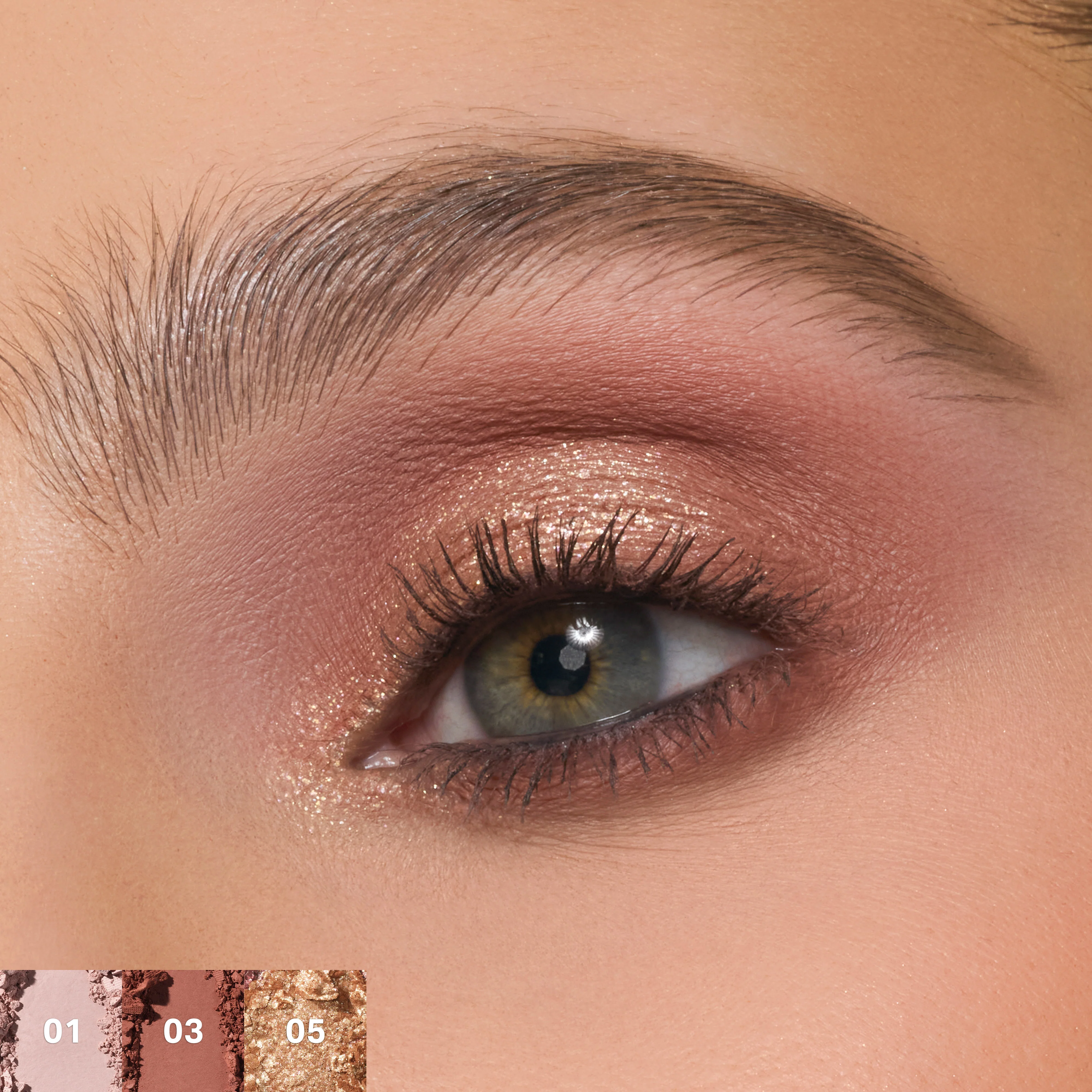 ChromaPlus 6-Pan Eyeshadow Palette - Image 26