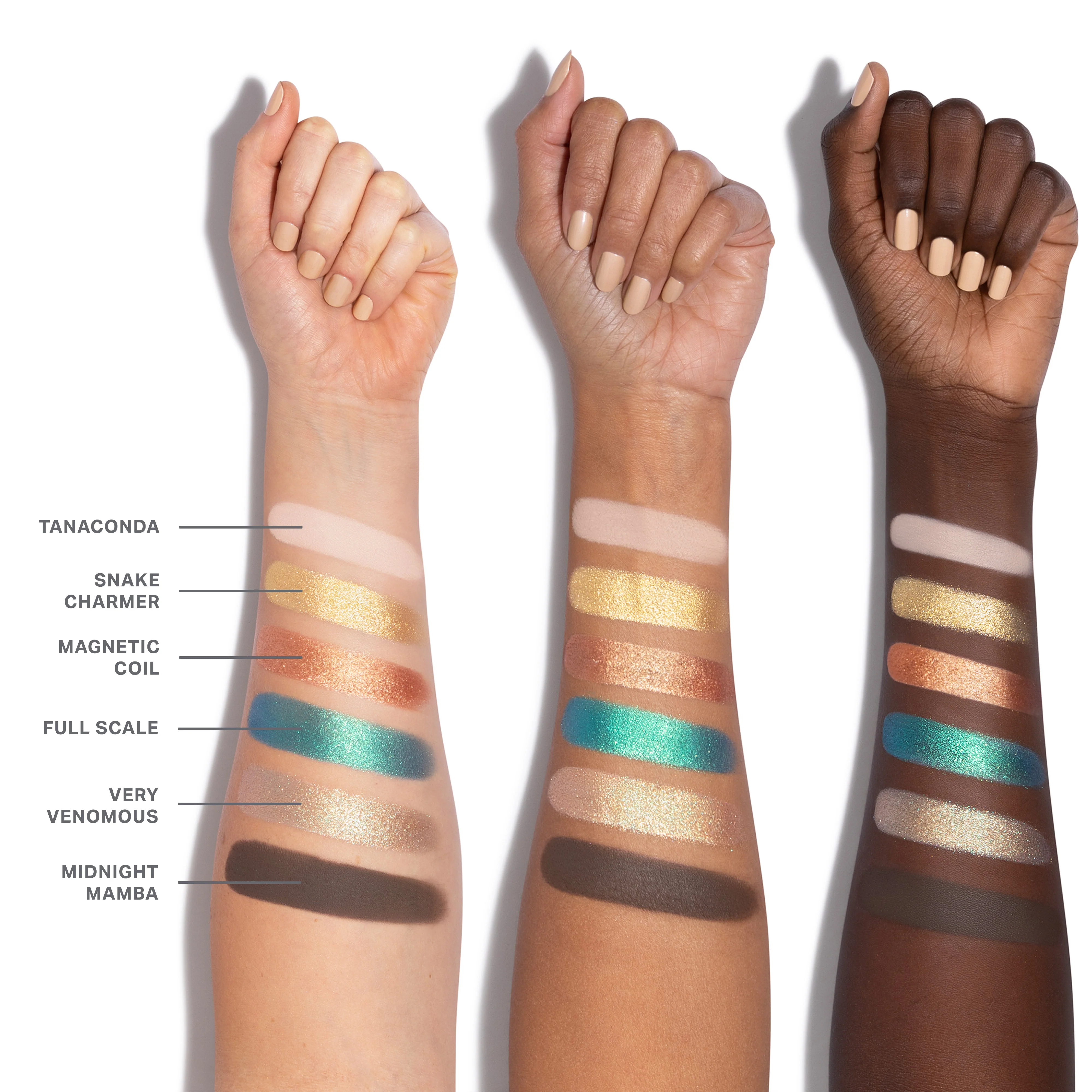 ChromaPlus 6-Pan Eyeshadow Palette - Image 41